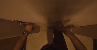 Paranormal Grounds: The Bliss