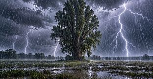 Puzzle Rain