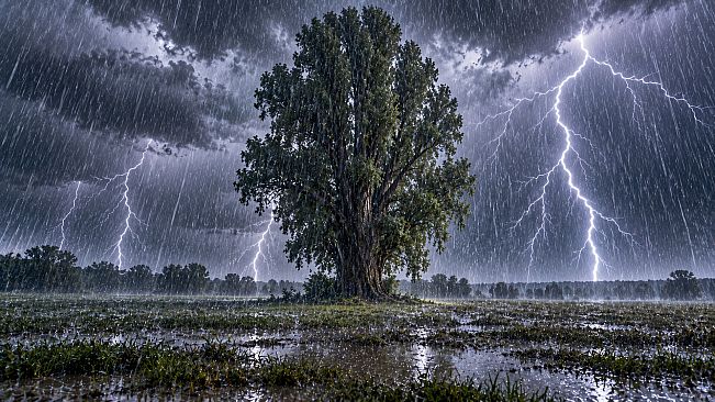Puzzle Rain