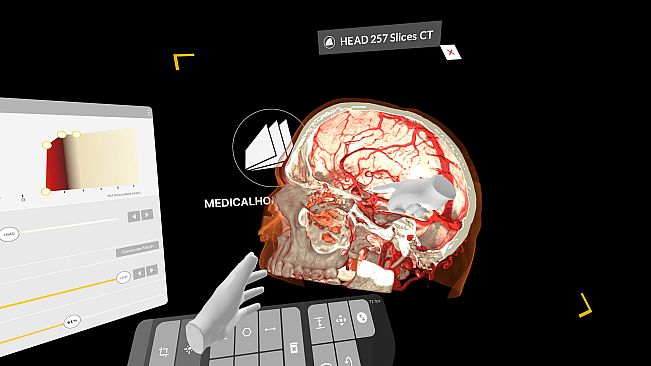 MEDICALHOLODECK. Surgery, Anatomy, Medicine, Education, and DICOM Imaging in VR. For Medical Students, Nurses, Doctors and Surgeons.