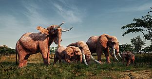 Animalia New African Skins