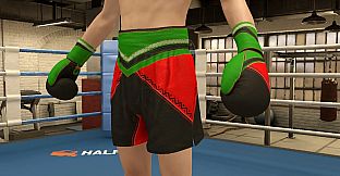 The Thrill Of The Fight 2 - Victory Gear Shorts
