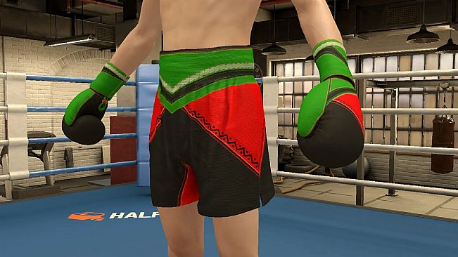 The Thrill Of The Fight 2 - Victory Gear Shorts