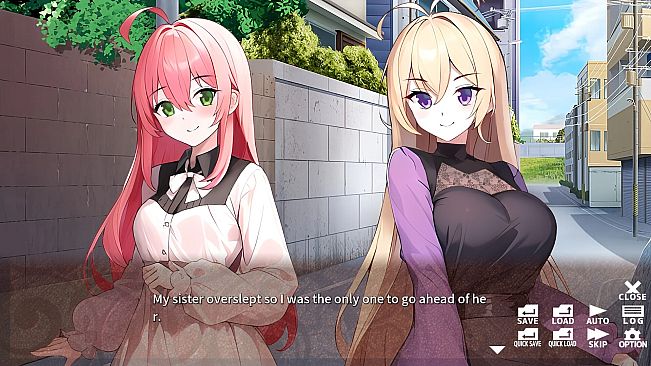 ハーレムなんか望んでない！ - Undesired Harem -