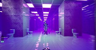 THE BATHROOMS