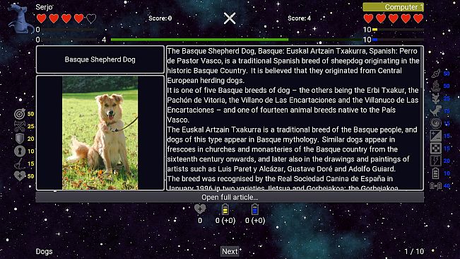 I've Seen Everything - Dogs