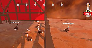 Catch The Ducks