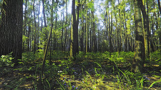 Mindfulness Simulator - ASMR Meditation Game