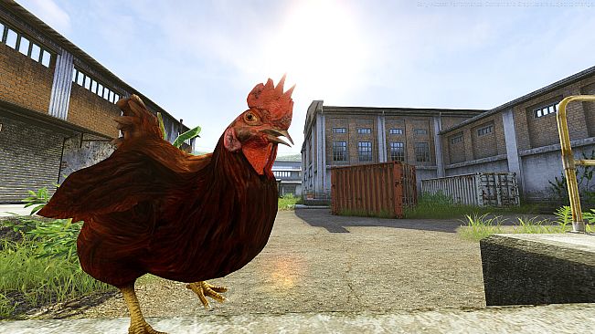 Military Conflict: Vietnam