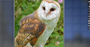 Jigsaw Puzzle Pack - Pixel Puzzles Ultimate: Owls