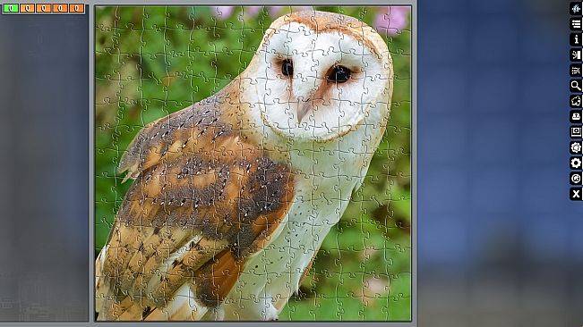 Jigsaw Puzzle Pack - Pixel Puzzles Ultimate: Owls