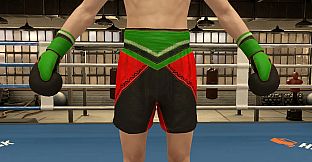 The Thrill Of The Fight 2 - Victory Gear Shorts