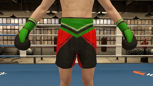 The Thrill Of The Fight 2 - Victory Gear Shorts