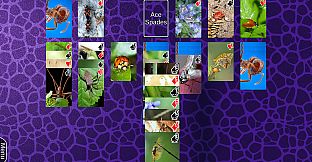 Wyvern Studios Solitaire: 30th Aniversary Edition