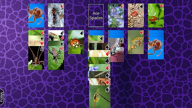 Wyvern Studios Solitaire: 30th Aniversary Edition