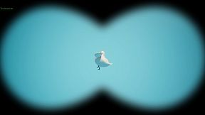 Bird Watching Simulator