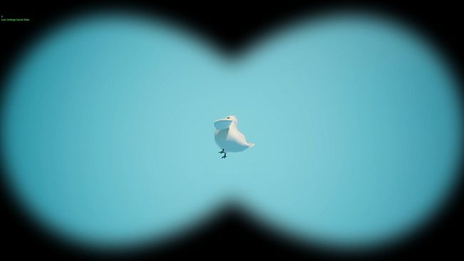 Bird Watching Simulator