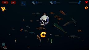 How Much Items - Fishes