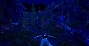 HRD 3 Pegasus Island