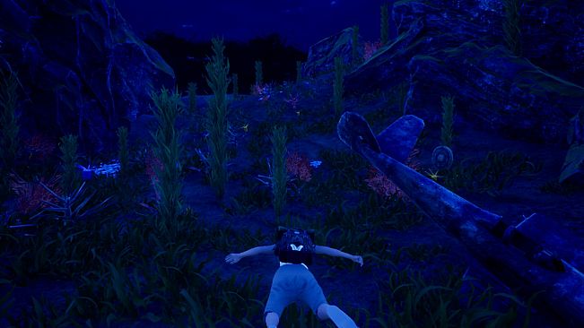 HRD 3 Pegasus Island