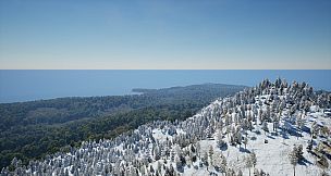 WASTED Will Be Brutal