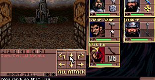 Eye of the Beholder III: Assault on Myth Drannor