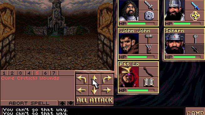 Eye of the Beholder III: Assault on Myth Drannor