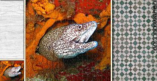 Jigsaw Puzzle Pack - Pixel Puzzles Ultimate: Coral Reef