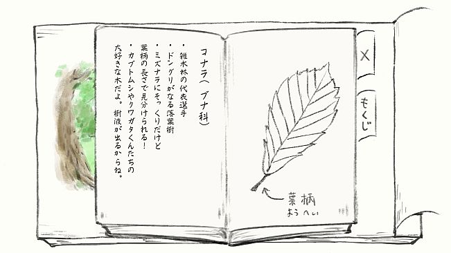 Satoyama Note: Spring Walk