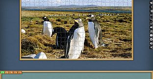 Jigsaw Puzzle Pack - Pixel Puzzles Ultimate: PP2 Birds