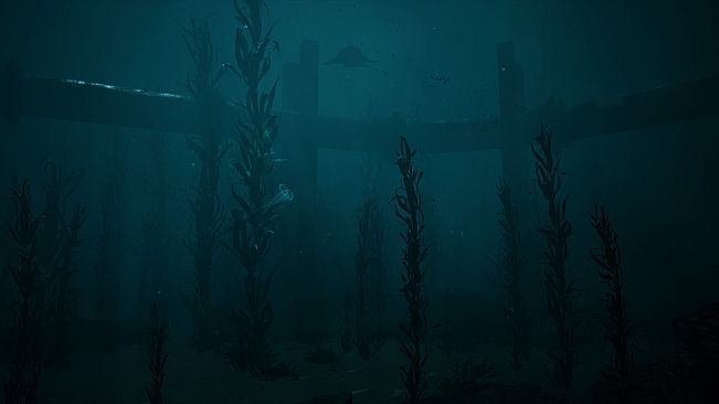 JELLYFISH