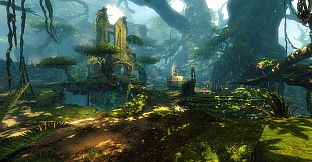 Expansion Starter Pack - Guild Wars 2: Heart of Thorns and Path of Fire