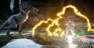 Second Extinction
