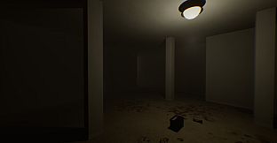 The Backrooms Recorded