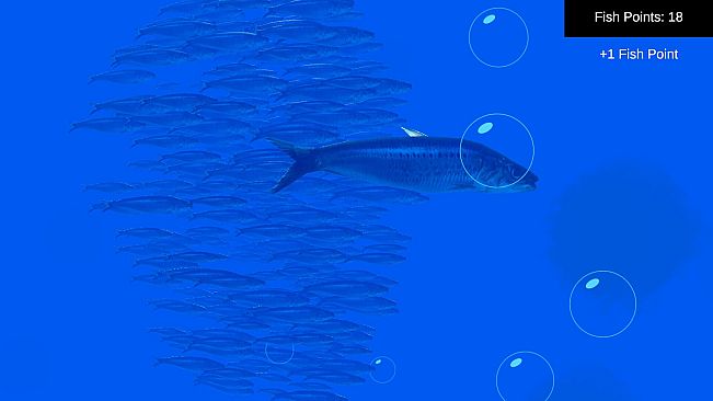 Fish Simulator