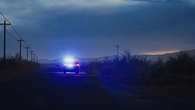 Highway Police Simulator: S.W.A.T. Edition