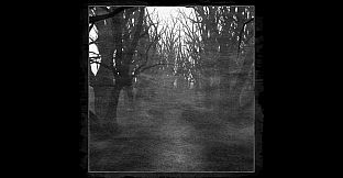 Black Helm - Desolated Forest