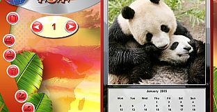 Wildlife Creative Studio