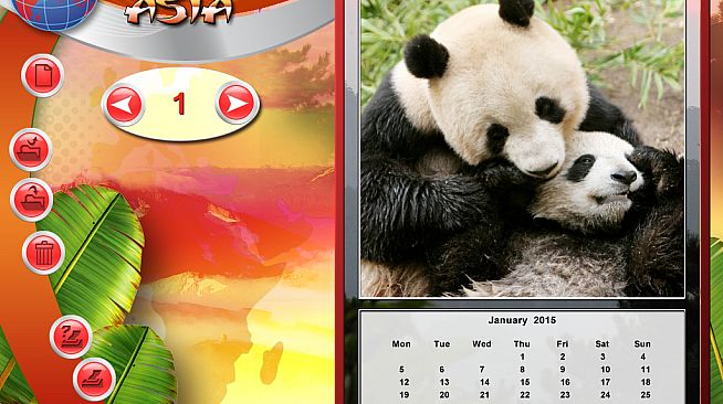 Wildlife Creative Studio