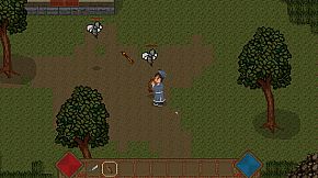 Bird and Beast Fantasy