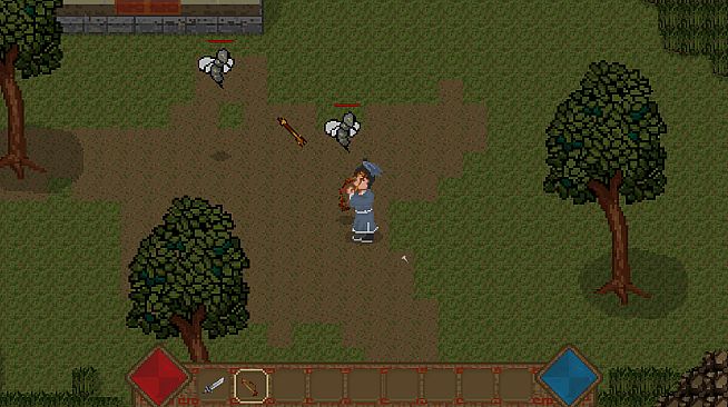 Bird and Beast Fantasy