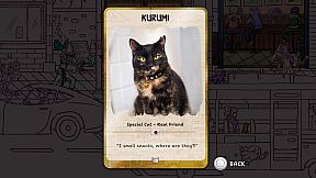 Hidden Cats in Tokyo