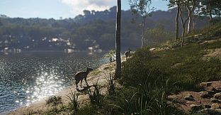 theHunter: Call of the Wild - Emerald Coast Australia