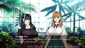 Welcome to Maison Chichigami