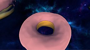 Donuts in Space