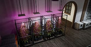 Drug Dealer Simulator 2