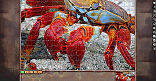 Jigsaw Puzzle Pack - Pixel Puzzles Ultimate: Macro