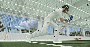 Cricket 22
