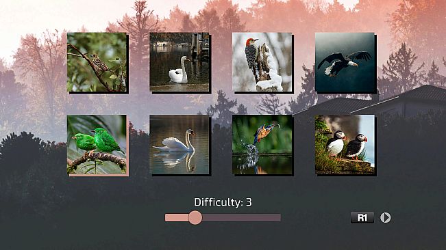 Shattered Frames 3: Skies Above