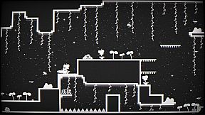 Cats Catching Mice: The Black and White World